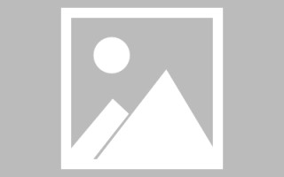 舟山网页设计英文默认字体（网页设置英文转换中文）